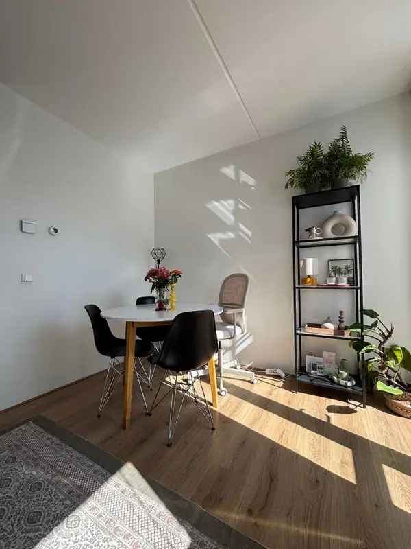 Appartement Barestraat Groningen 31m² per 1 juni