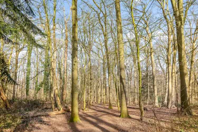 Huis te koop: Iependreef 6 4851 BV Ulvenhout (Gem. Breda) 