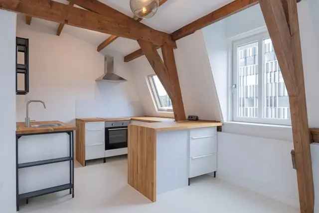 Studio Haarlem Zijlwegkwartier 51m2 1 kamer