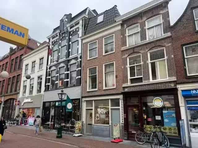 Appartement te Koop Leiden 2 Kamer 51m2 1925