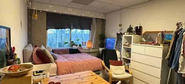 Studentenkamer Leeuwarden 16m2 1 maart 2025