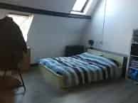 Ruime kamer 44m2 Zwolle - Gedeelde douche/toilet