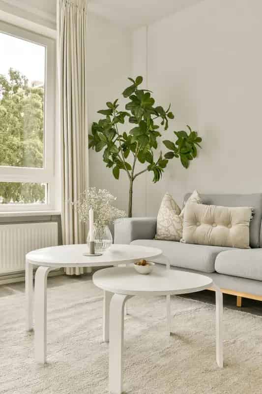3 Slaapkamers Appartement Buitenveldert 72m2 Balkon Berging Lift