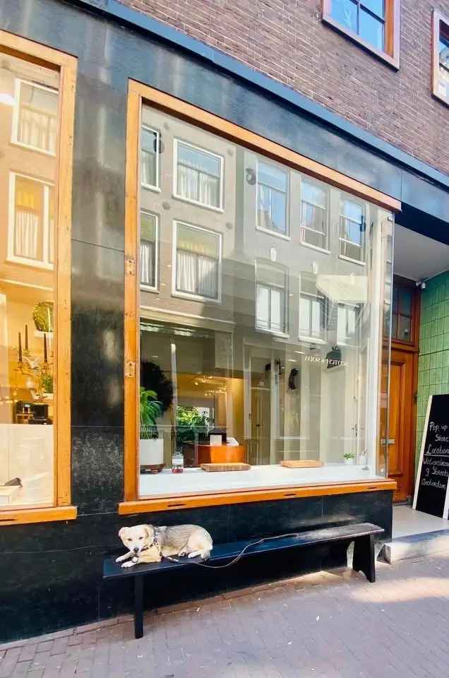 Winkel Amsterdam | Zoek winkels te huur: Wolvenstraat 13-H 1016 EM Amsterdam [funda in business]