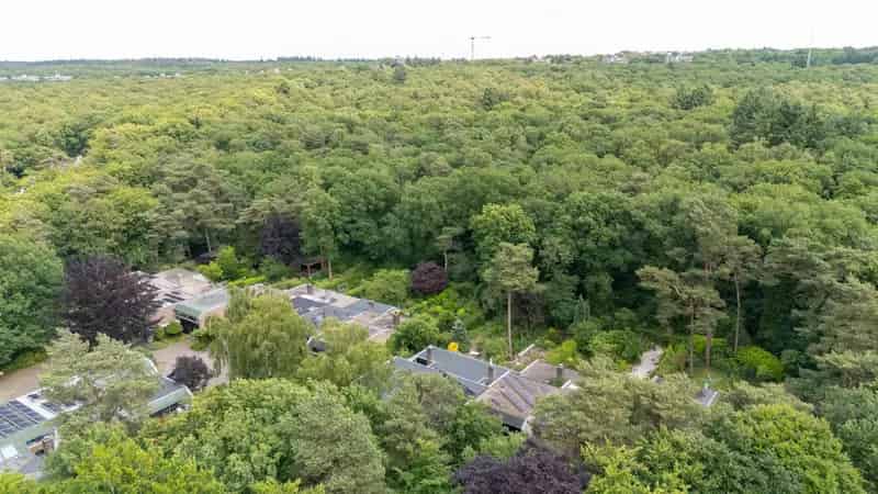 Huis te koop Doorwerth: Ruime split-level woning met souterrain en diepe tuin