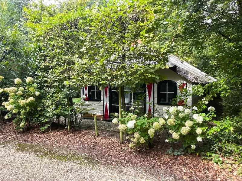 4 Persoons Recreatiewoning Bospark De Heivlinder