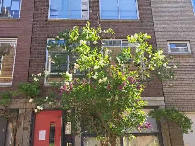Appartement in Amsterdam, Egelantiersstraat