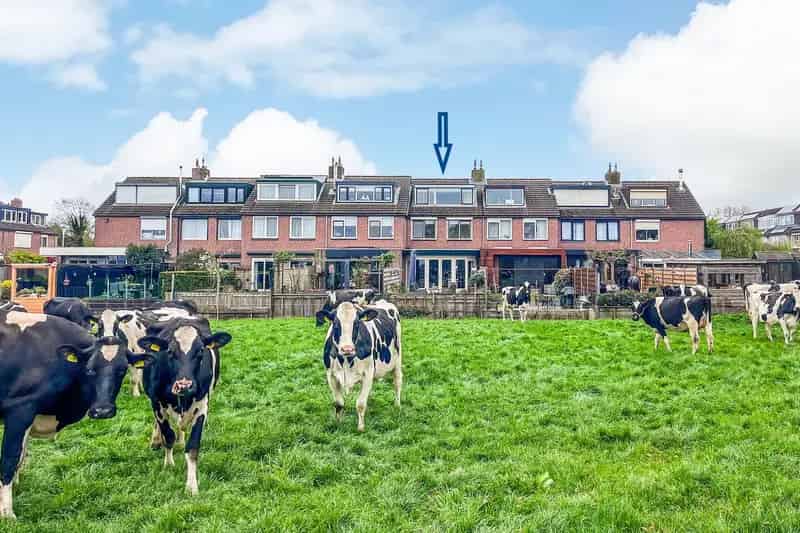 Huis te koop Vijfhuizen 4 slaapkamers nieuwe badkamer 9 zonnepanelen