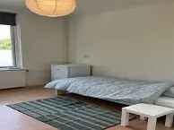 Kamer Arnhem Ranonkelstraat 14m2