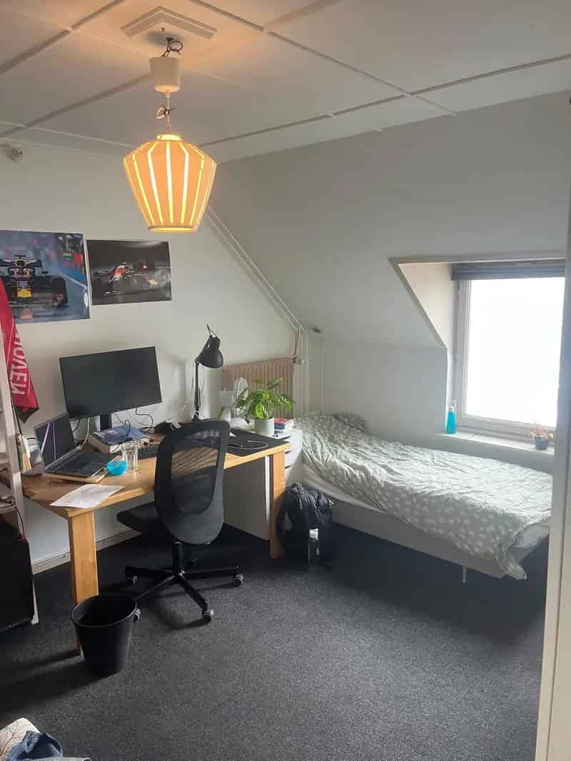 Kamer te Huur Huisgenoot Gezocht Tongelresestraat