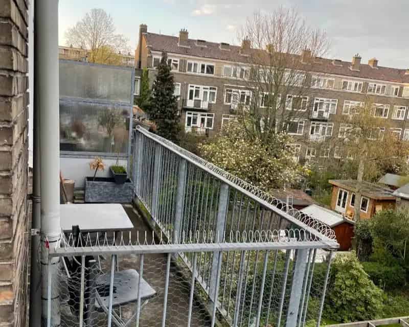 2 Kamers Vrij Rotterdam Noord Gezellig Huis Vega Huisgenoten
