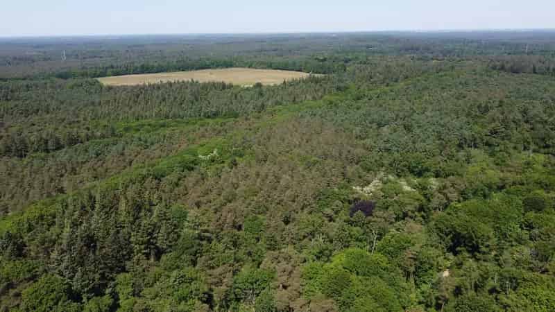 Bouwkavel Doorn 3586m2 Bosrijk Perceel Droomhuis