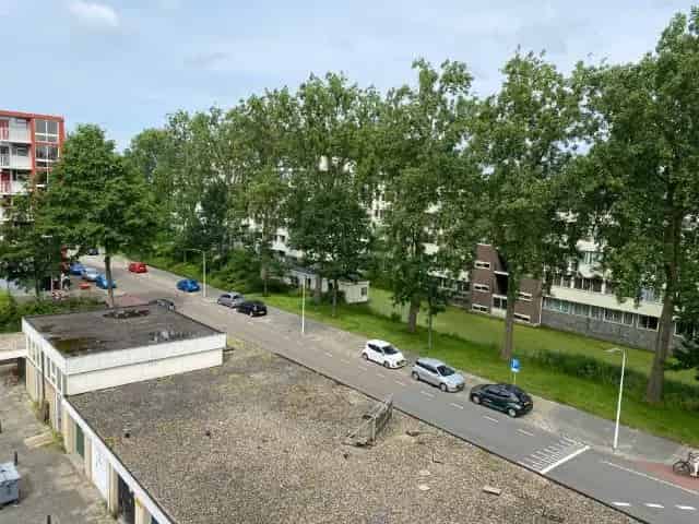 4 Kamer Appartement Leiden Te Huur