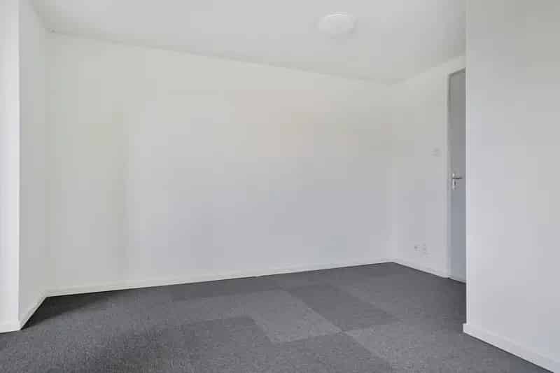 2 Kamer Appartement Tilburg Centrum Gerenoveerd 2023