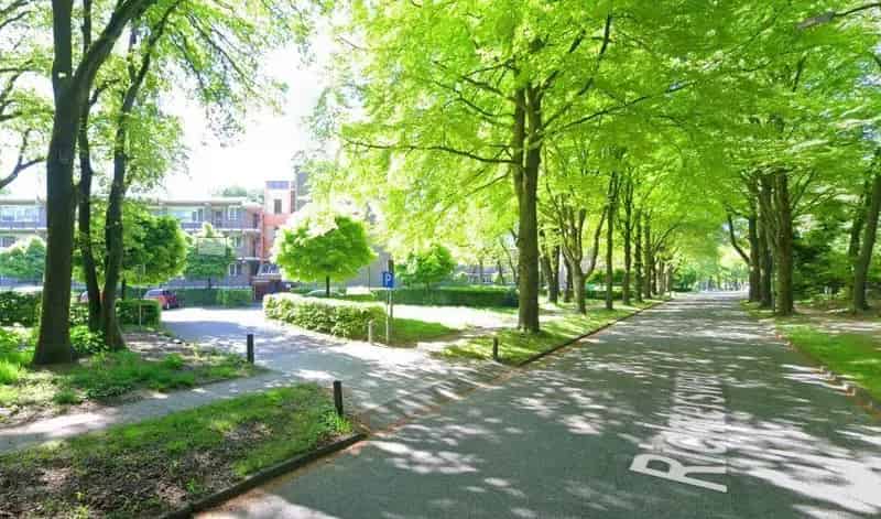 Huis te huur: Bosrijk wonen nabij winkels en scholen