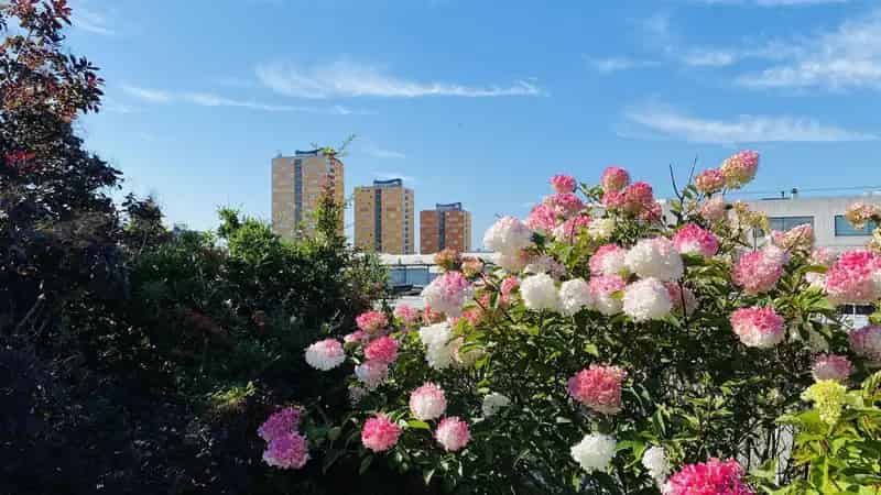 Tweekamerappartement Rotterdam Schiemond  Uitzicht Maas