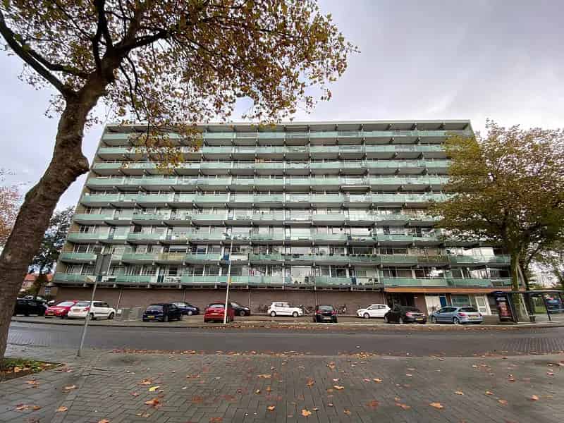 Knus 3-kamerappartement Krommenie nabij Amsterdam