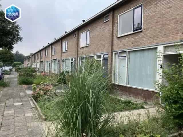 Woonhuis huren Goeree Overflakkee