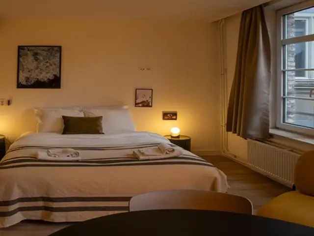Studio Maastricht 2 Personen WiFi Badkamer