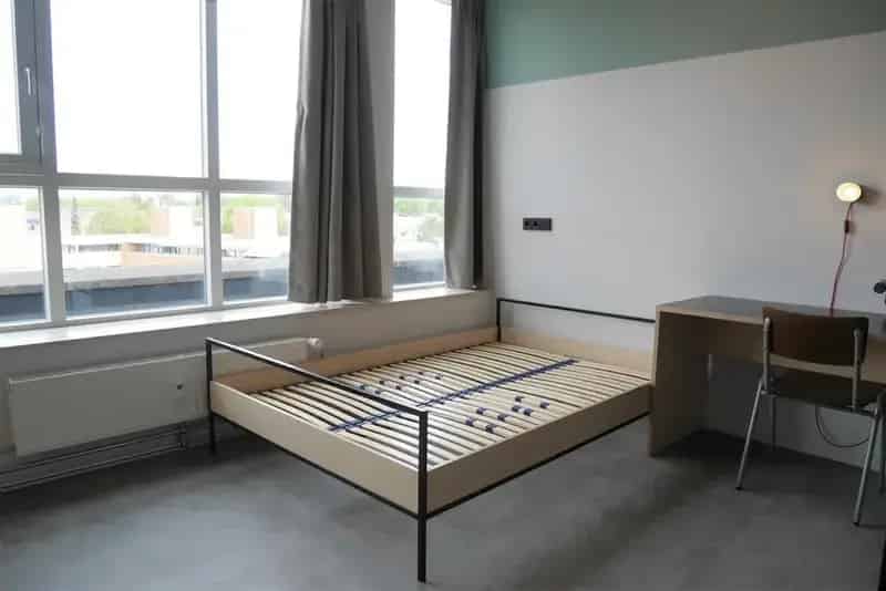 Luxe Studio Wauwhaus Complex