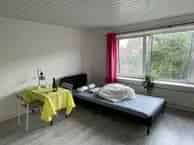 Kamer Arnhem Johan de Wittlaan 13m2