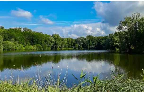 Agrarische grond te koop Molenweg Lage Zwaluwe