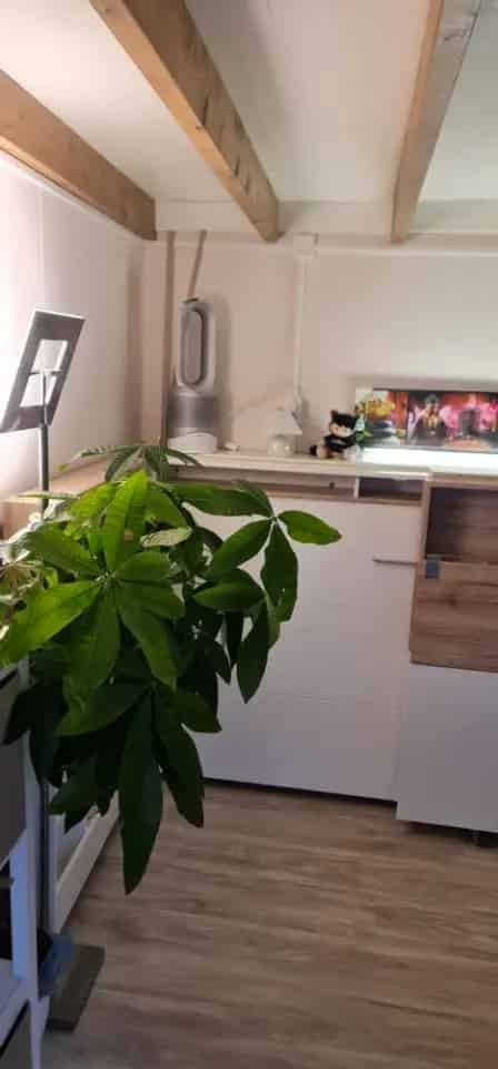 Amsterdam Studio met Tuin en Moderne Voorzieningen