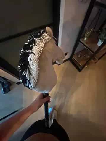 Hobbyhorse Te Koop Weinig Gebruikt
