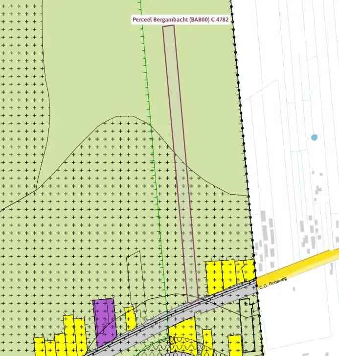 Agrarische grond Bergambacht | Zoek agrarische grond te koop: Provincialeweg 2861 GS Bergambacht [funda in business]