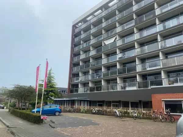 Studio Robijnstraat Apeldoorn Juli 2025