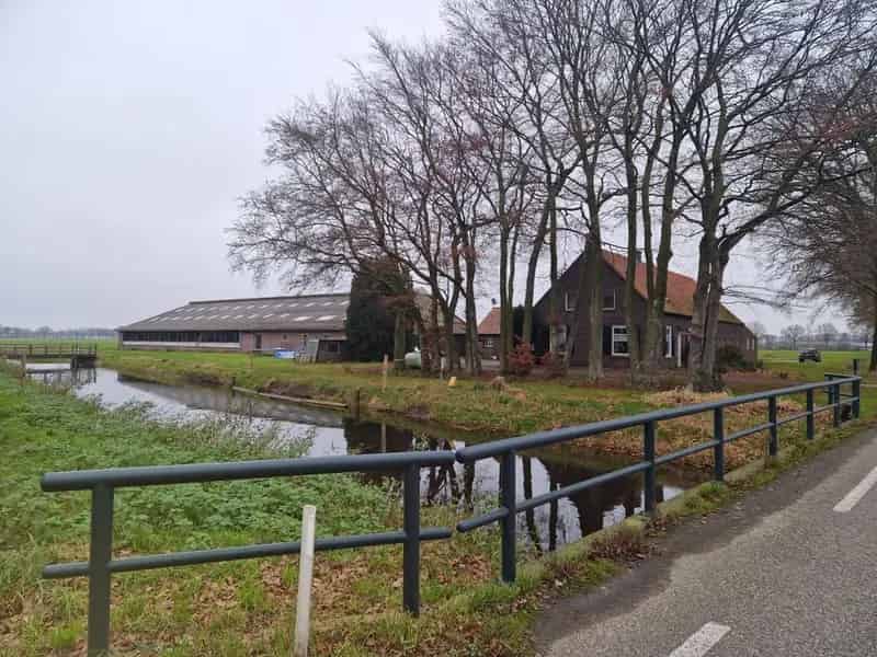 Boerderij Landhorst: Bedrijfswoning met Rundveestal en Loods