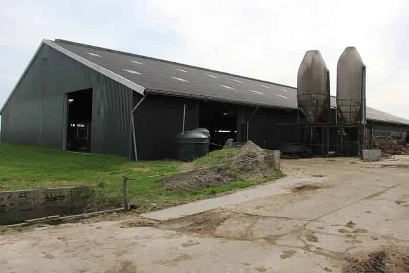 Melkveebedrijf te Koop Wergea 6174 hectare