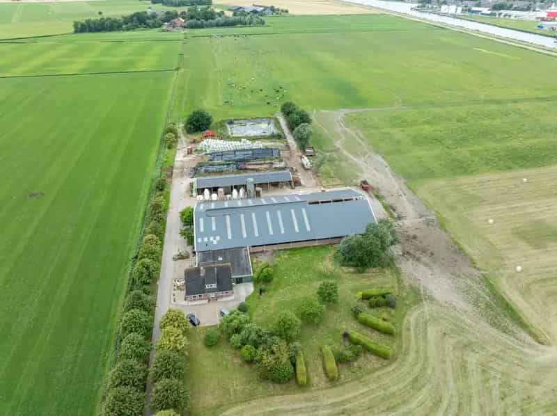 Melkvee bedrijf met kaasmakerij te koop Meedhuizen
