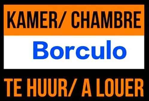 Kamer Huur Borculo Bovenverdieping  Gemeubileerd Mogelijk