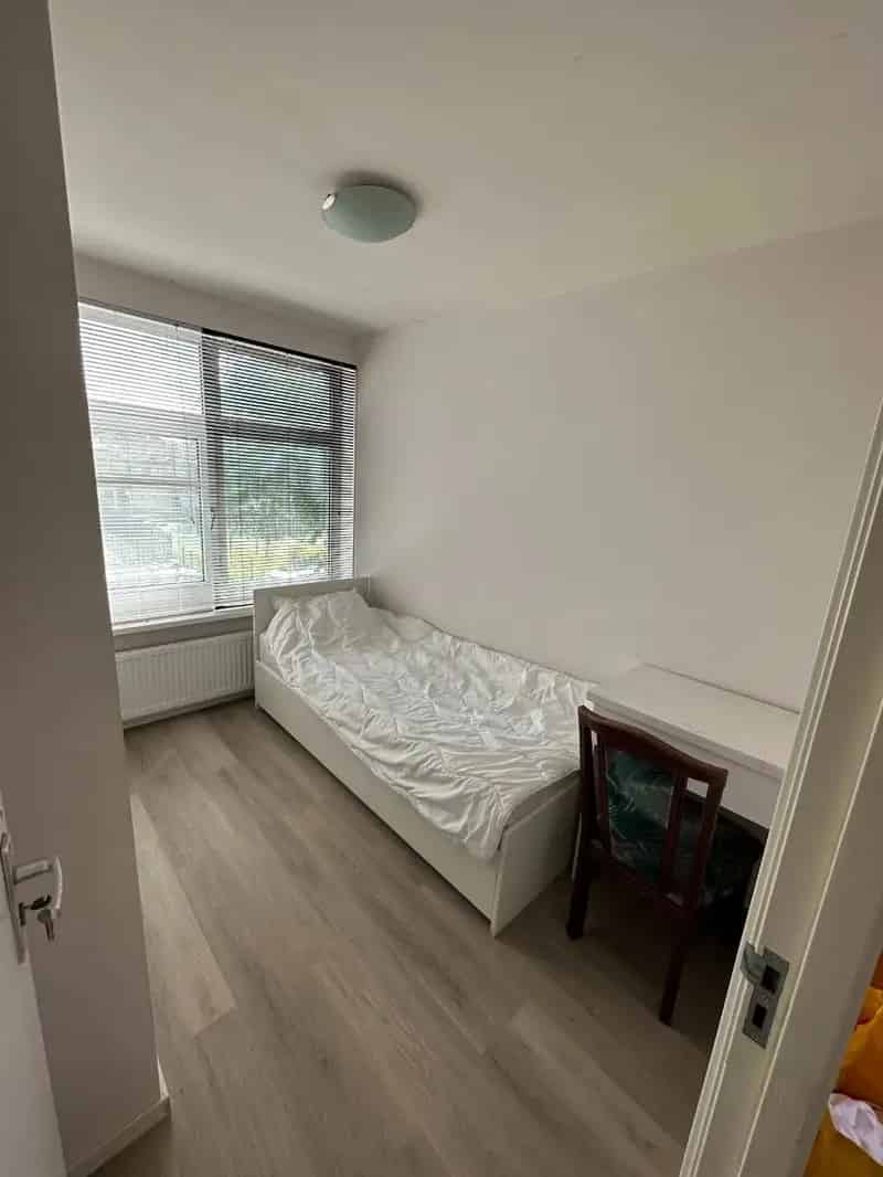 Kamer IJmuiden - Eigen Badkamer, Inclusief Gas Water Licht Internet