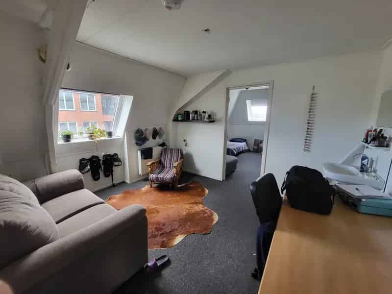 Studentenhuis Villa Leonidas zoekt huisgenoot