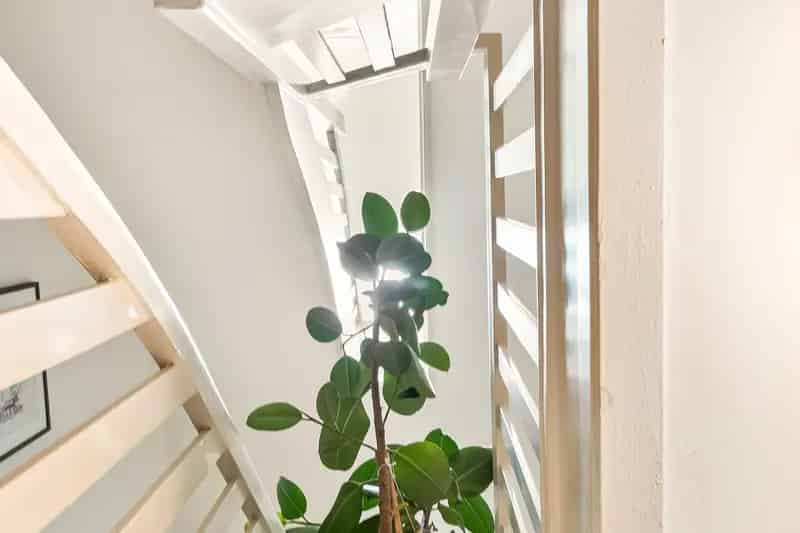 Luxe Appartement Amsterdam West-Indische Buurt
