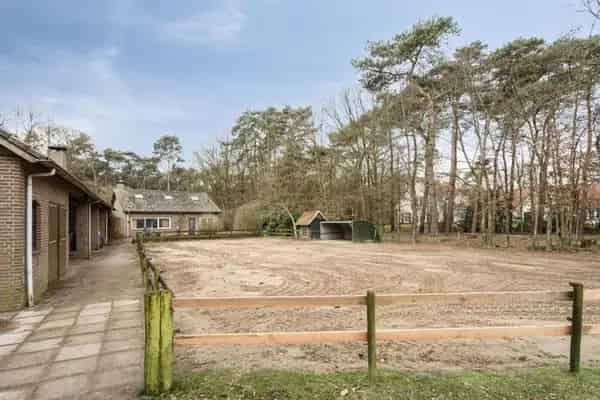 Vrijstaande woning met bijgebouw op 12550m² te Lieshout