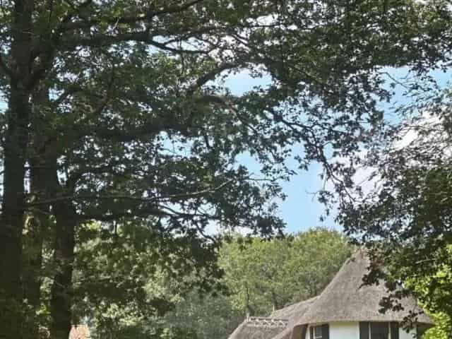 Woonhuis te huur Steenwijkerland