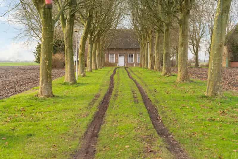 Akkerbouwbedrijf Halsteren: Woning Schuur 35 Ha Grond