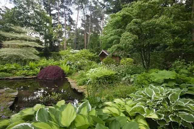 Bungalow te koop Wilhelminapark Eerbeek 3 slaapkamers grote tuin