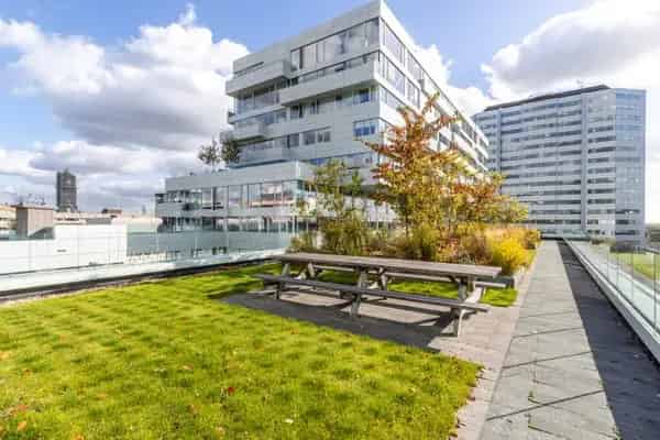 Appartement Moreelsehoek in Utrecht