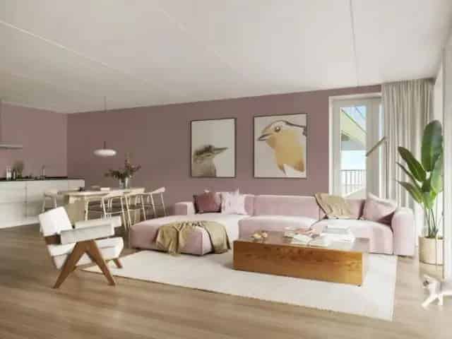 Urban Villas Amsterdam Noord: Ruime Huurappartementen te Huur