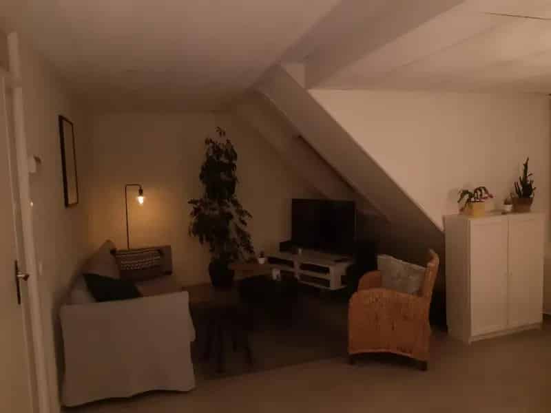 nieuw gerenoveerd ruim, licht appartement