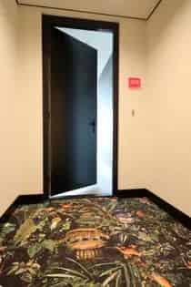 2 Kamer Appartement 114m2 Utrecht Wonderwoods