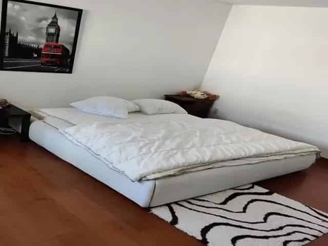 Kamer Maastricht: Ruime kamer nabij centrum