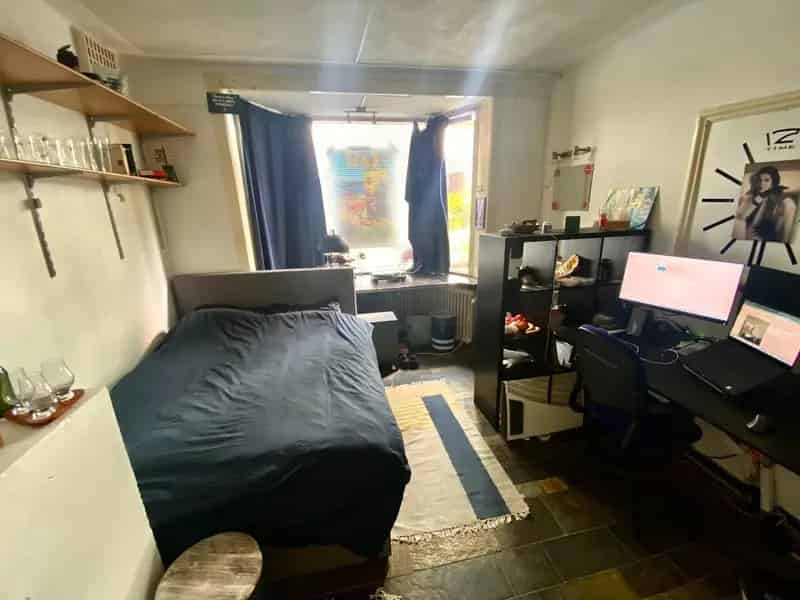 Luxe Studentenhuis CAST zoekt Actieve Student