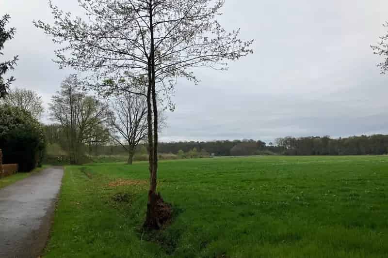Agrarische Grond Appelscha 241 ha Zandgrond