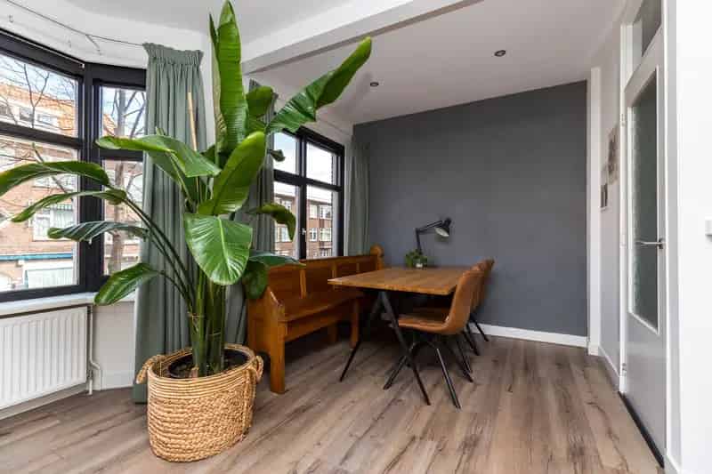 2-kamer appartement Den Haag gerenoveerd 56.5m2