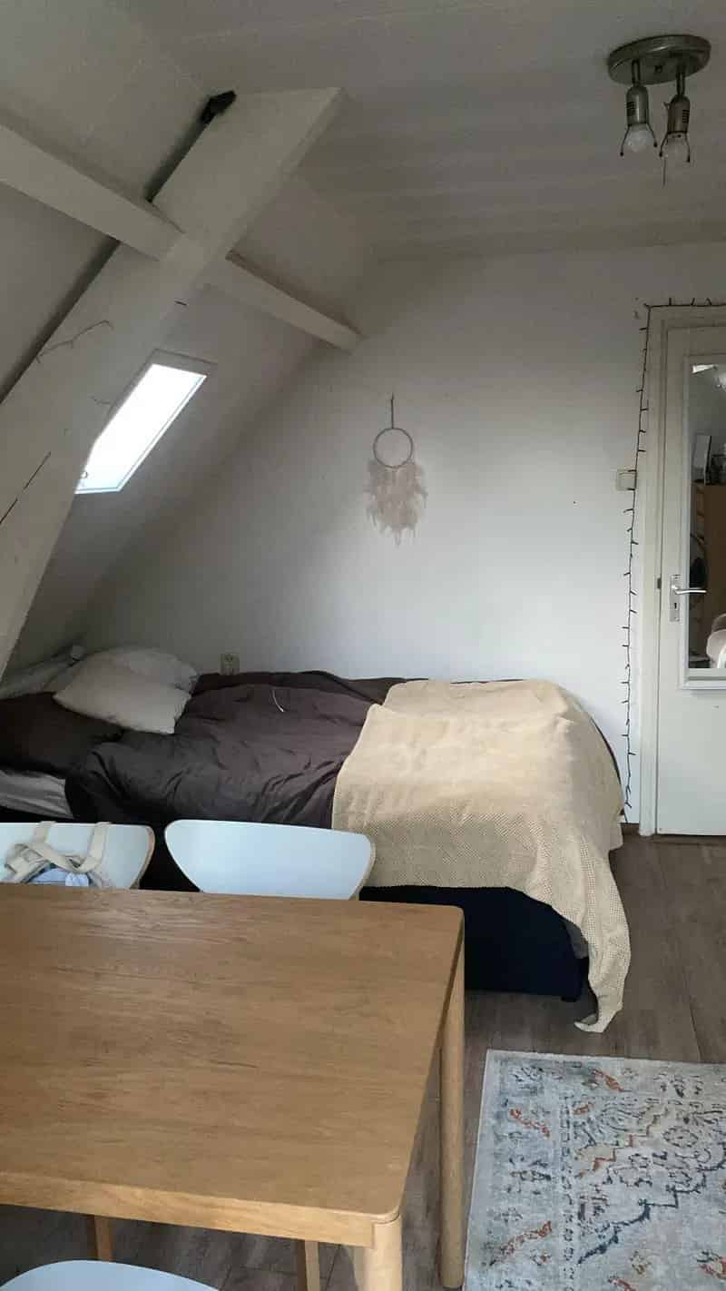 Zolderkamer Studentenhuis Gedeelde Woning Vrouw